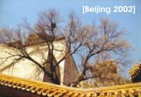 Beijing 2002
