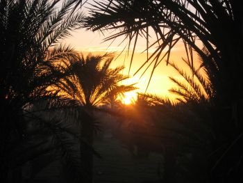 Sonnenaufgang im Vallee de Draa